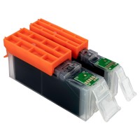 Vorschau: ESMOnline 12er kompatible Druckerpatrone ersetzt Canon PGI-550 CLI 551 mit Grau Vorschau: ESMOnline 12er kompatible Druckerpatrone ersetzt Canon PGI-550 CLI 551 mit Grau