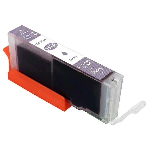ESMOnline 12er kompatible Druckerpatrone ersetzt Canon PGI-550 CLI 551 mit Grau