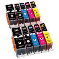 ESMOnline 10er kompatible Druckerpatronen ersetzt Canon PGI-525 CLI-526 ESMOnline 10er kompatible Druckerpatronen ersetzt Canon PGI-525 CLI-526